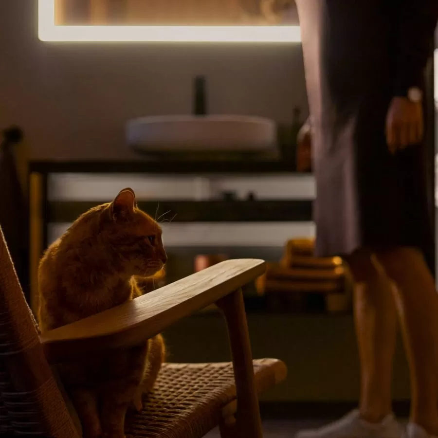 video Triết lý thiết kế 2