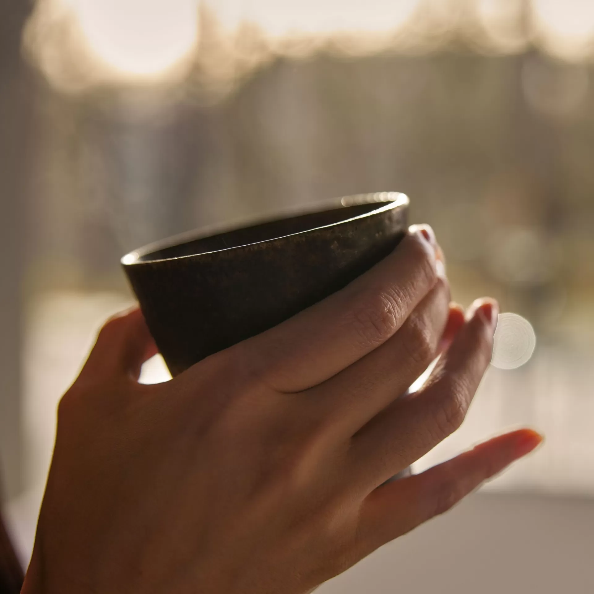 Triết lý thiết kế